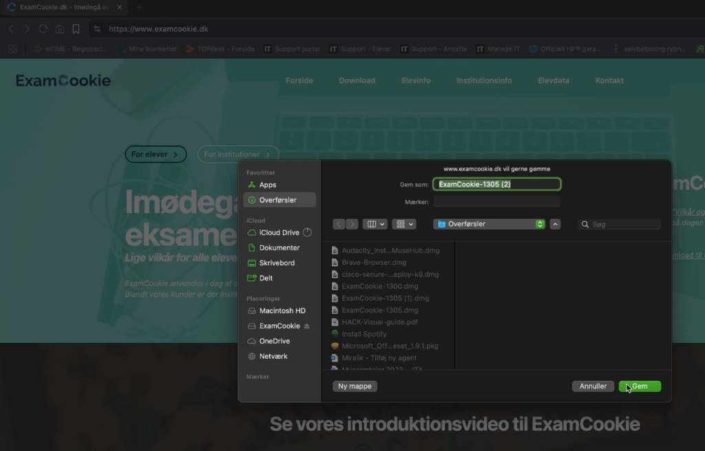 Skærmbillede 2025-06-18 134220